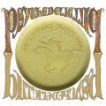 neil young psychedelic pill vinyl lp.jpg