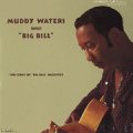 Muddy Waters Muddy Waters Sings Big Bill Broonzy 180g LP.jpg
