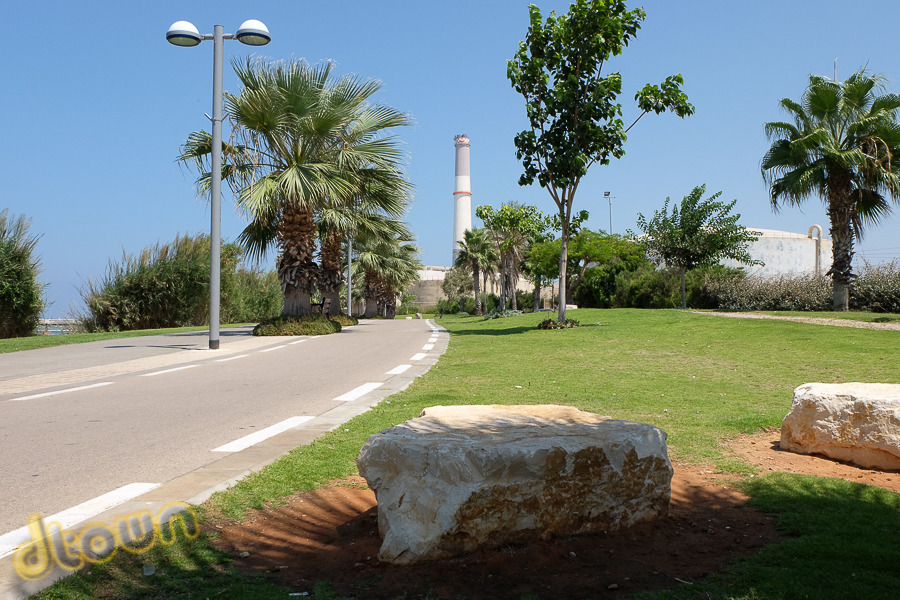DSCF2346.jpg