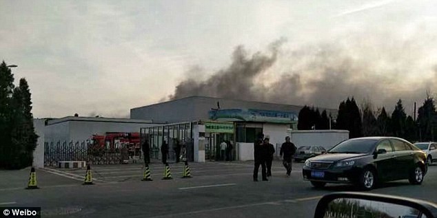fire7.jpg