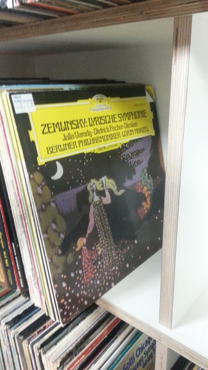 LP_Shelf.jpg