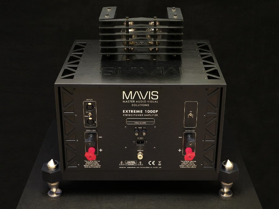Mavis E1000P (1).jpg