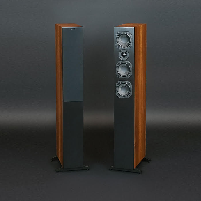 SCANSONIC L-9 רמקולים רצפתיים.jpg