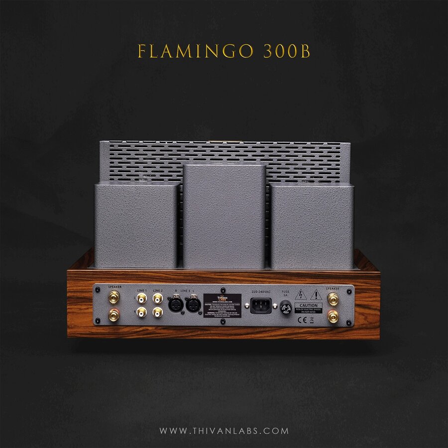 ThivanLabs New Generation - Flamingo 300B (3).jpg