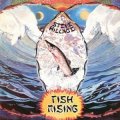 steve hillage fish rising vinyl lp.jpg