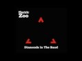electric zoo diamonds in the sand vinyl lp.jpg electric zoo diamonds in the sand vinyl lp.jpg