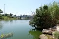 DSCF2352.jpg