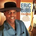 Eric Bibb & Friends Friends 180g 2LP.jpg