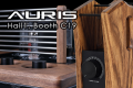 Auris_Sajt_Original.png