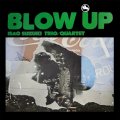 The Isao Suzuki Trio and Quartet Blow Up 180g.jpg The Isao Suzuki Trio and Quartet Blow Up 180g.jpg