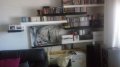 20200418_120951.jpg