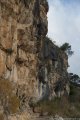 11 Woodland of the forty.jpg