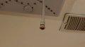 IMG-20200627-WA0016.jpg