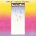 Mahavishnu Orchestra Birds Of Fire.jpg