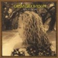 Cassandra Wilson Belly Of The Sun.jpg