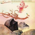 Shakti John McLaughlin Natural Elements.jpg