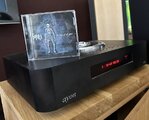 IMG_7963.jpeg