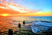 DSC_0044m4492ממ.jpg