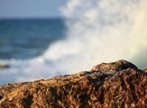 DSC_0369צי.jpg