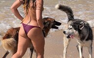 DSC_1372צצצ.jpg