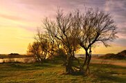DSC_0378ייצצ.jpg