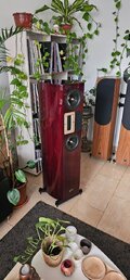 20260511_183711.jpg