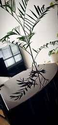 Polish_20260516_123312201.jpg