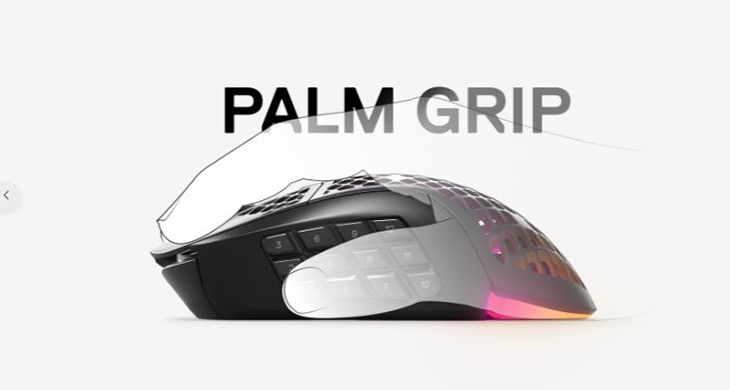 PALM GRIP PALM GRIP