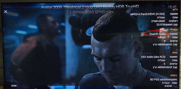 תמיכה בכל פסי הקול שנבדקו, כולל True-HD