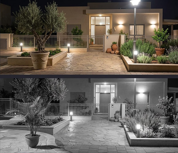 צילום ב-IR ובתאורת LED לתמונה צבעונית