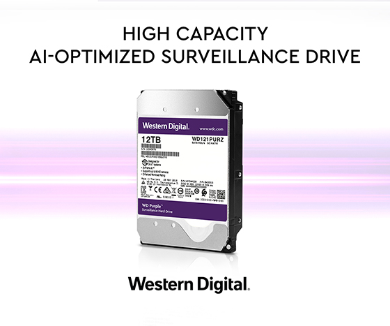 Western Digital Purple 12TB