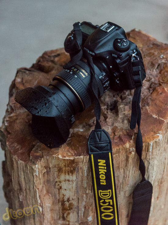 NIKON D500 NIKON D500