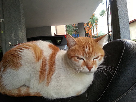 Samsung Ativ S Sample image