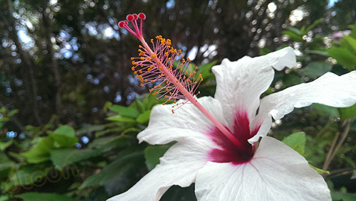 HTC ONE image sample camera