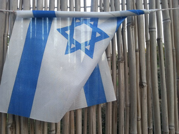 סמסונג גלקסי S3 - תמונות דוגמה