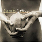 between darkness and wonder של LAMB