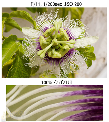Fujifilm X100s Image sample