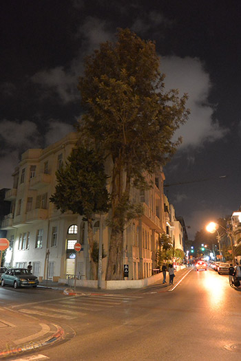Nikon 1 V2 - ביקורת מצלמה ISO 800
