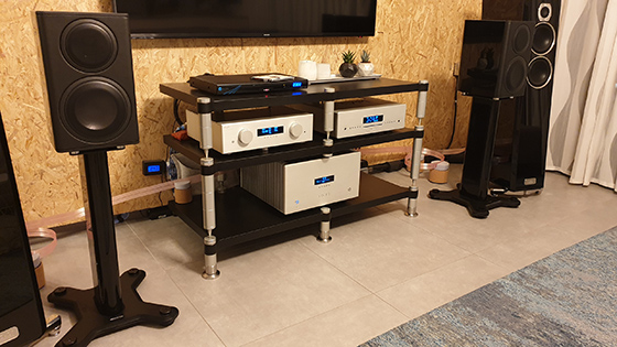 Monitor Audio Platinum