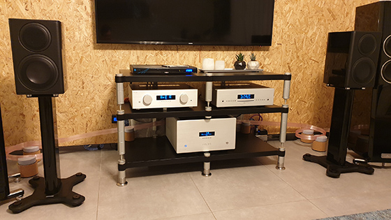 Monitor Audio Platinum