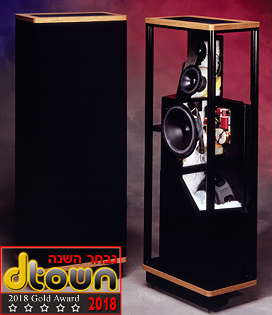 נבחרי השנה אודיו אתר DTOWN