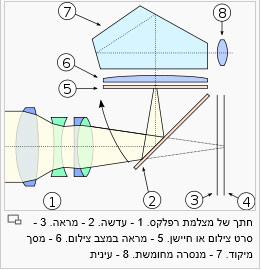עינית - מקור: ויקיפדיה