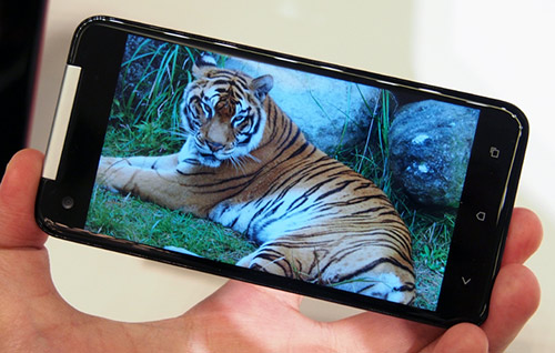 רשמית באתר: HTC J Butterfly - הטלפון הראשון עם מסך Full HD רשמית באתר: HTC J Butterfly - הטלפון הראשון עם מסך Full HD