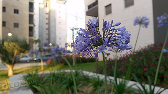 HTC One M9