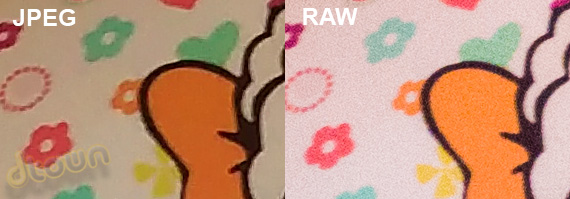 HTC One M9 JPEG VS RAW