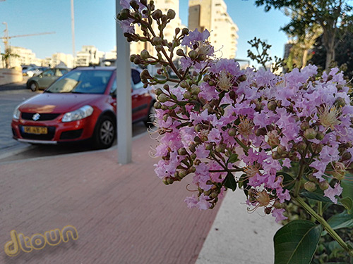 Huawei P8 - ביקורת טלפון