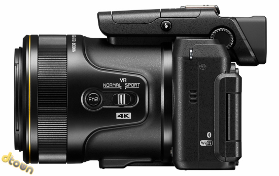 Nikon DL