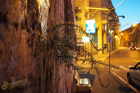 ISO 3200 - אולימפוס E-M1 OM-D - ביקורת מצלמה