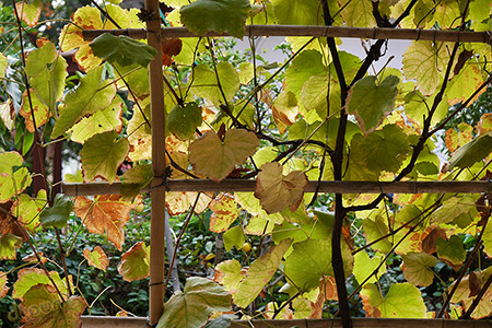 Panasonic DMC G6 Image sample