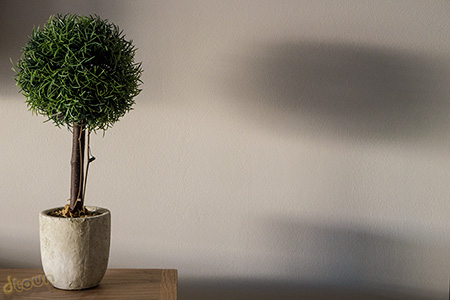 Panasonic DMC G6 Image sample
